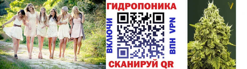 Купить где Гусь-Хрустальный Шишки марихуана Amnesia